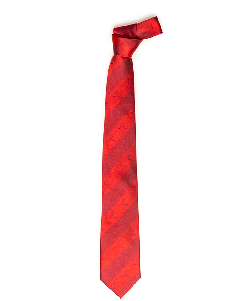 Primary image Tonal Red Silk Tie